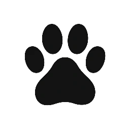 Gnocchi Urban Streetwear